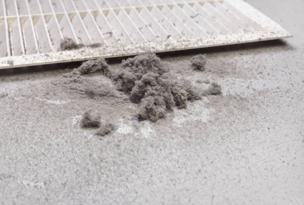 Best Local Air Duct Cleaning Services  in South Boston, VA