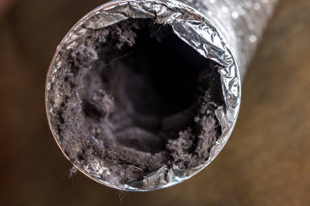 Best Duct Cleaning Specialists  in South Boston, VA