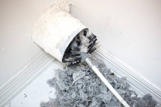 Best Duct Cleaning for Offices  in South Boston, VA